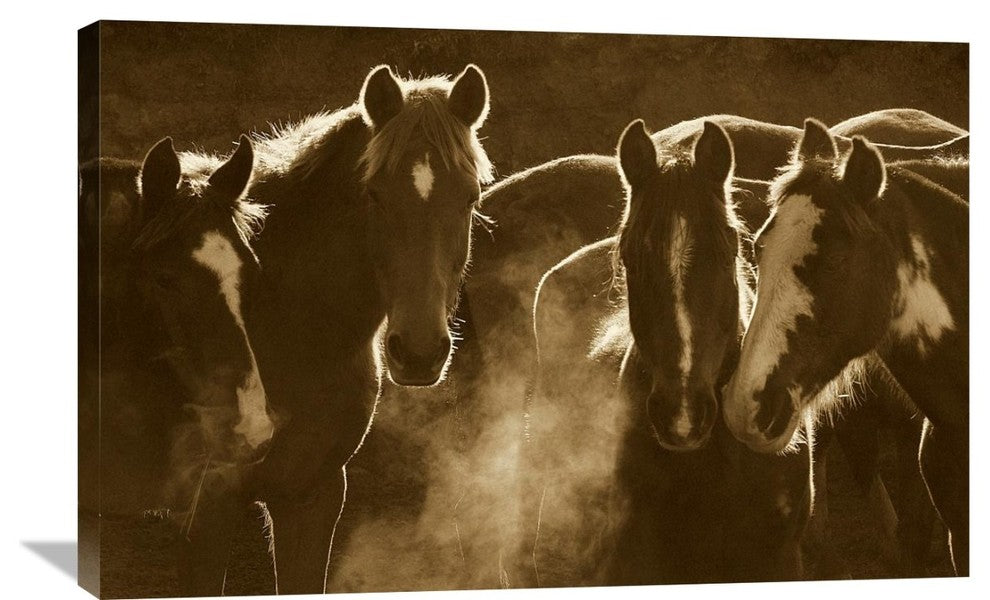 "Horse Herd At Annual Round-Up, Backlit, Ecuador - Sepia" Artwork, 36" x 24"