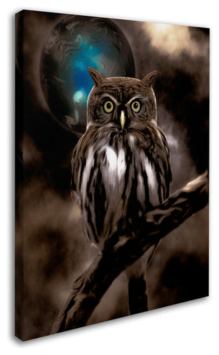 Color Bakery 'Night Owl' Canvas Art, 35"x47"