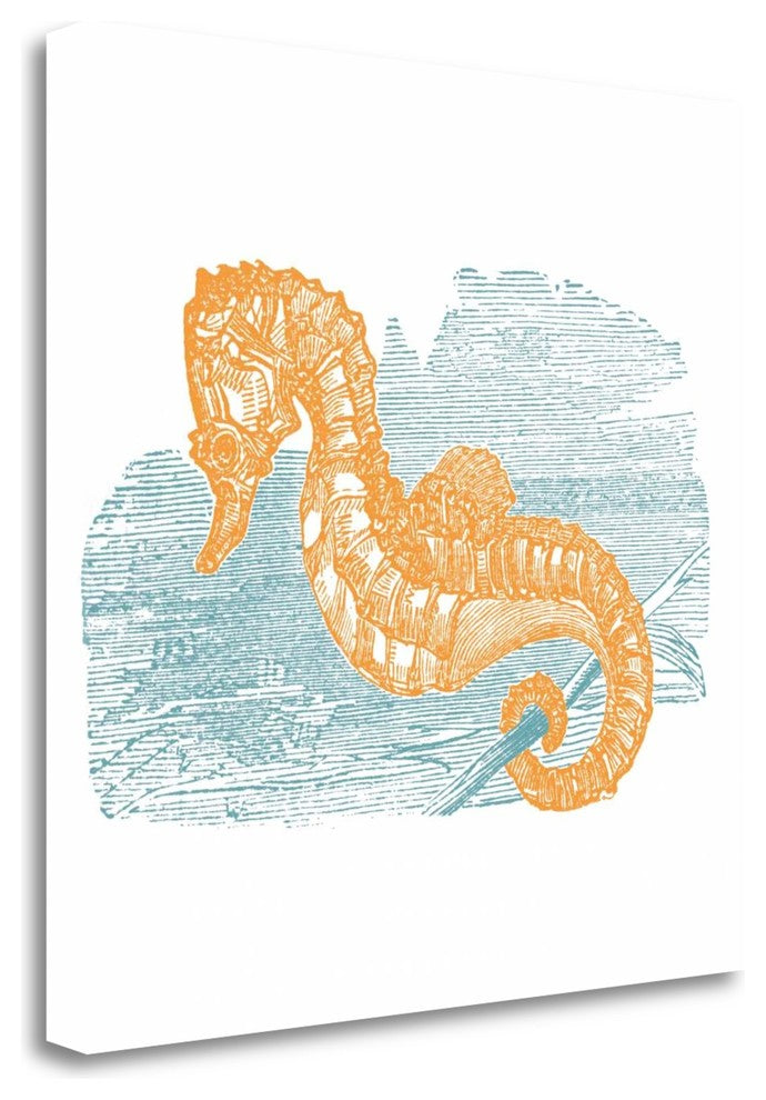 "Sea Brights IV" By Wild Apple Portfolio, Giclee Print on Gallery Wrap Canvas