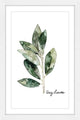 "Herb Bay Leaves" Framed Painting Print, 24"x36"