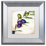 Color Bakery 'Olive Branch III', Silver Frame, White Mat, 11x11