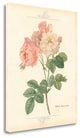 "Detailed Floral II" By Artique Studio, Giclee Print on Gallery Wrap Canvas