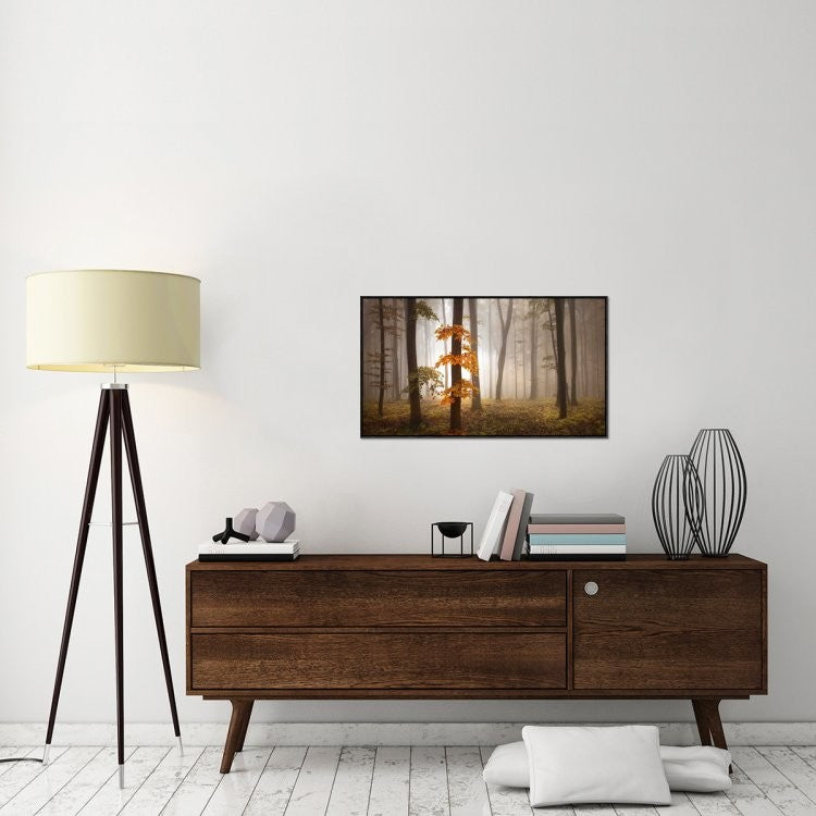 "In November Light" Framed Canvas Giclee by Franz Schumacher, 37x21"