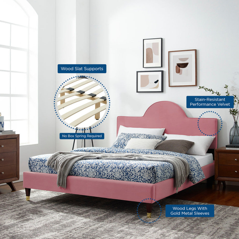 Platform Bed Frame, Queen Size, Pink, Velvet, Modern, Bedroom Guest Suite
