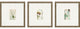 Antique Botanical I, 3-Piece Set Framed Art