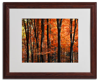 'Indisputable Truth' Matted Framed Canvas Art by Philippe Sainte-Laudy