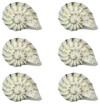 White Cast Iron Nautilus Shell Drawer Pull Decorative Cabinet Knob Set of 6