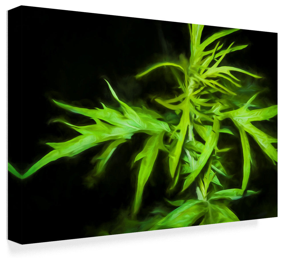 "Wild Green Plant Leaves" by Anthony Paladino, Canvas Art
