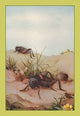The Field Cricket - Gallery Wrapped Canvas Art 28" x 42"