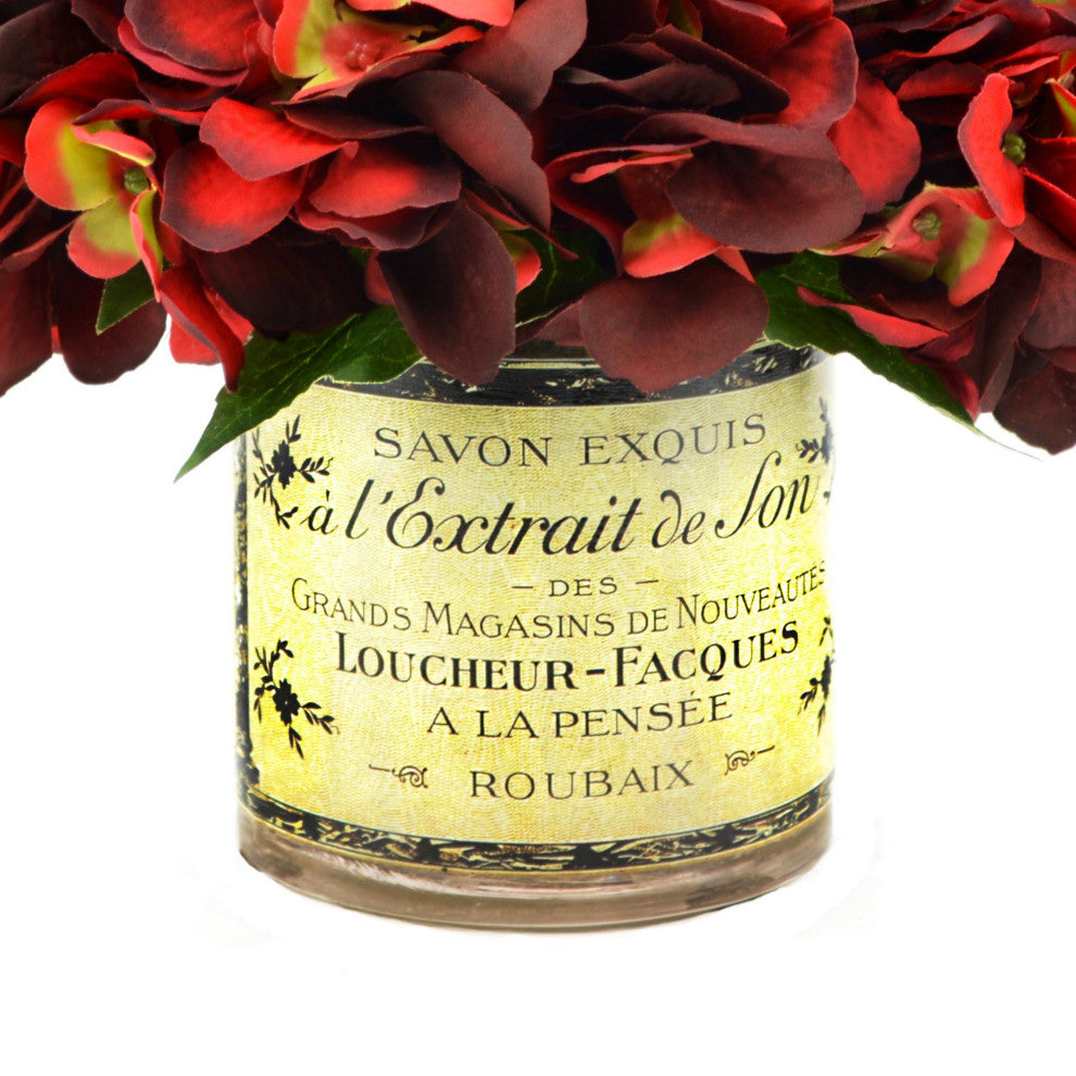 Burgundy hydrangeas in French label pot