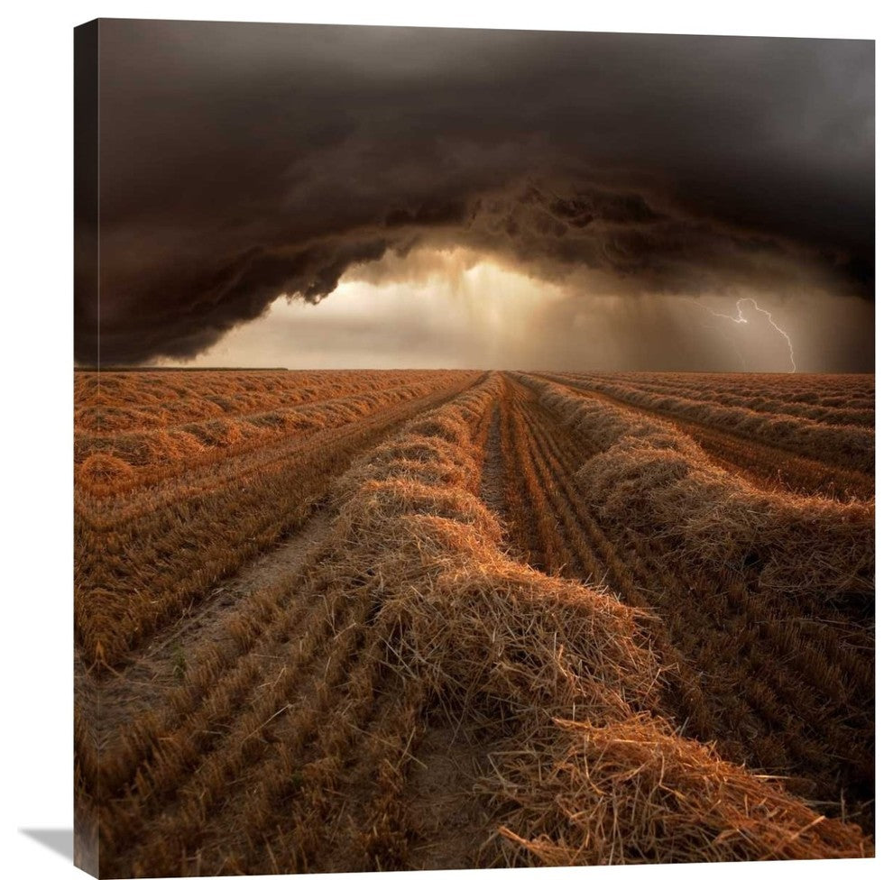 "Untitled" Stretched Canvas Giclee by Franz Schumacher, 28x30"