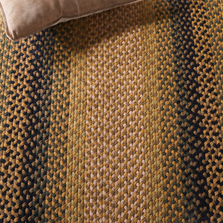 Safavieh Cape Cod Collection BRD651D Rug, Gold/Sage, 8' X 10'