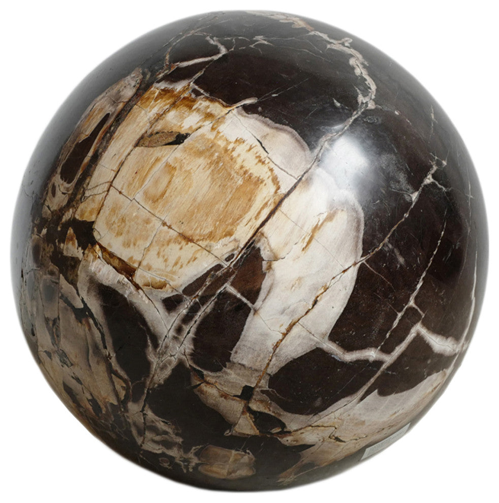 Large Petrified Wood Sphere