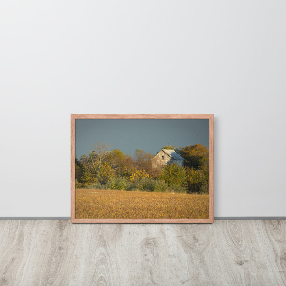 Abandoned Barn In The Trees Framed Photo Paper Wall Art Prints, Red Oak, 18" X 24"