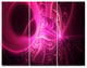 Bright Pink Designs on Black, Abstract Wall Art Canvas, 36x28, 3 Panels
