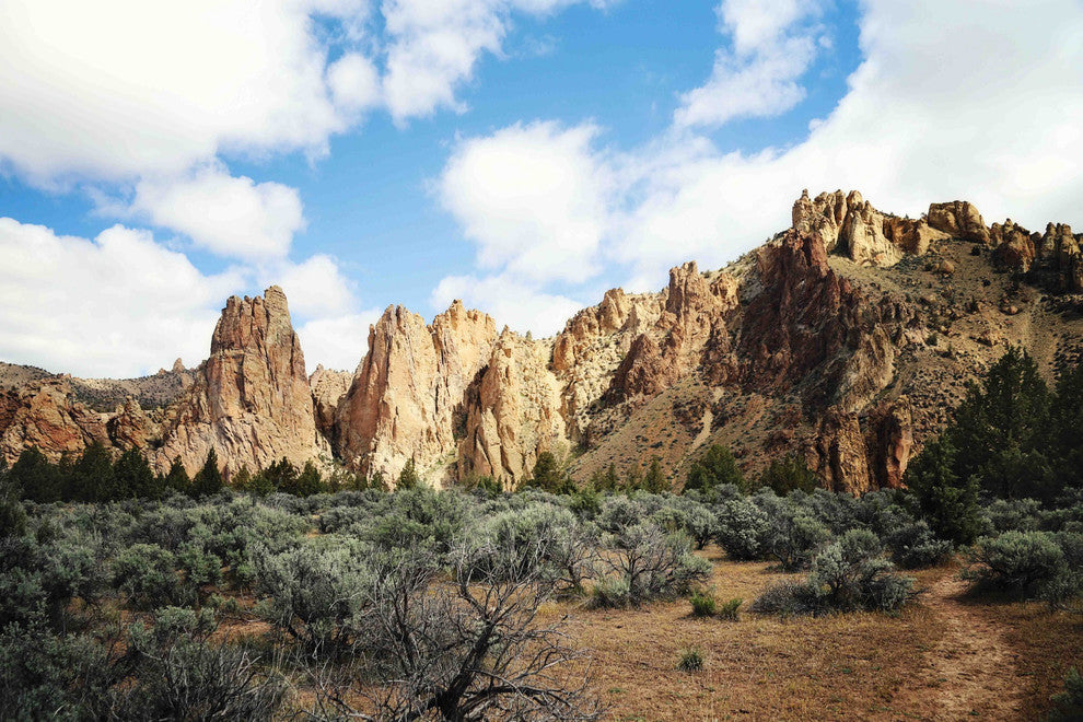"Mountains Magesty" Print on Canvas by Sylvia Cook
