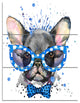 Cute French Bulldog with Glasses, Animal Canvas Wall Art, 28x36, 3 Panels