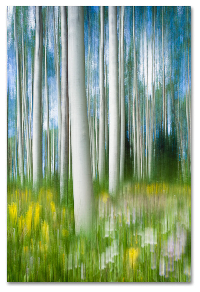 Michael Blanchette Photography 'Aspen Impression' Canvas Art, 16"x24"