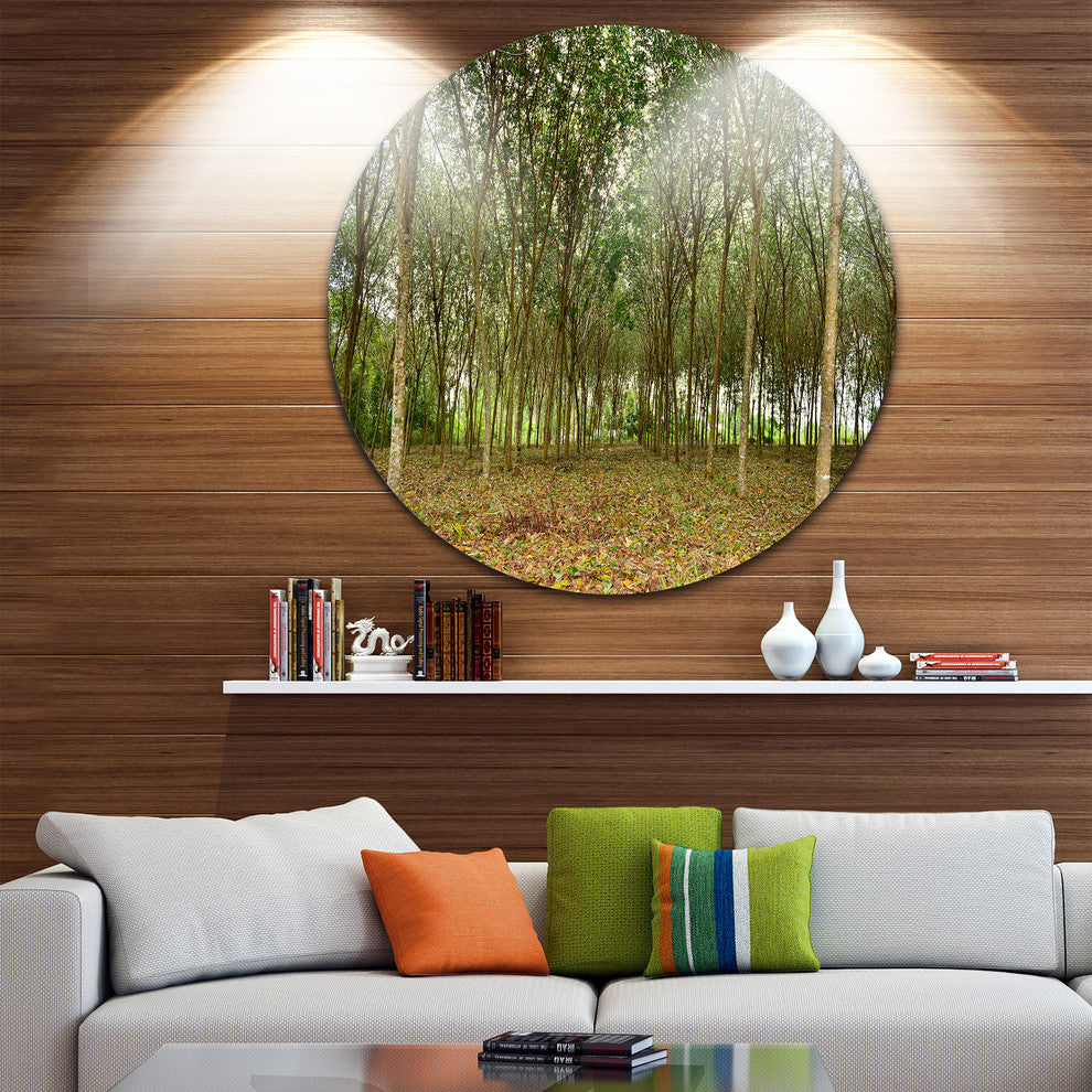 Rubber Tree Plantation During Midday, Landscape Round Wall Art, 11"