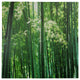 Bamboo Canvas Wall Art