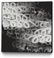 "Love Letters II" Framed Canvas by Giant Art 30"x30"
