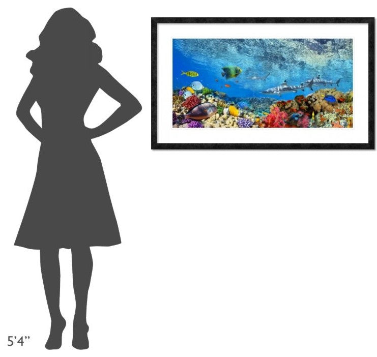"Reef Sharks and fish, Indian Sea" Framed Digital Print by Pangea Images, 44x26"
