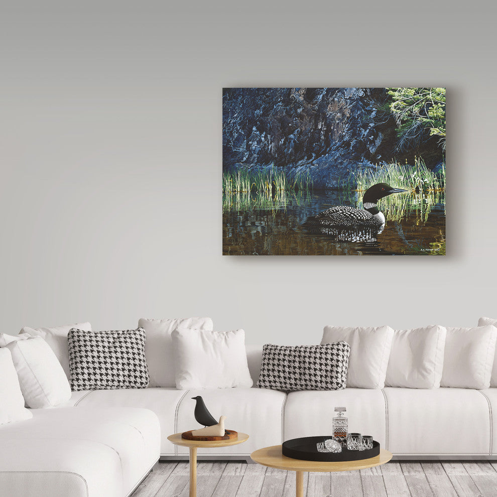 Ron Parker 'Summer Loon' Canvas Art, 47"x35"