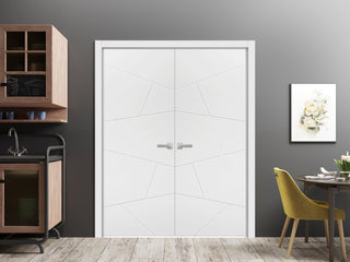 Slab Barn Door Panel 30 x 80 | Planum 0990 Painted White
