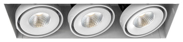 Eurofase TE613LED-30-2-02 LED Recessed, White