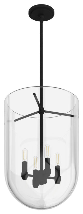 Hunter 14" Sacha Natural Iron 4-Light Pendant Ceiling Light Fixture