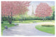 "Parisian Spring" Digital Paper Print by James Wiens, 32"x22"