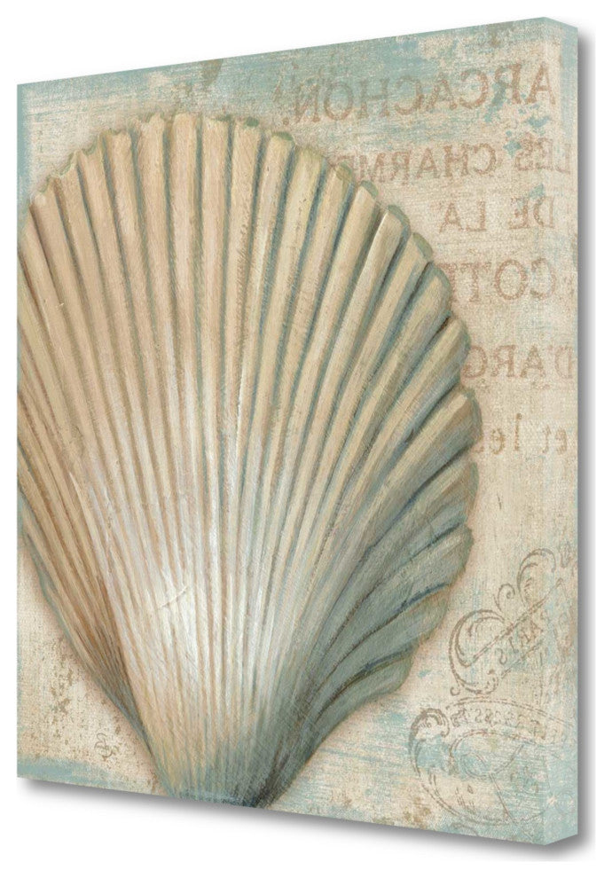 Rustic French Seashell 4 Giclee Wrap Canvas Wall Art