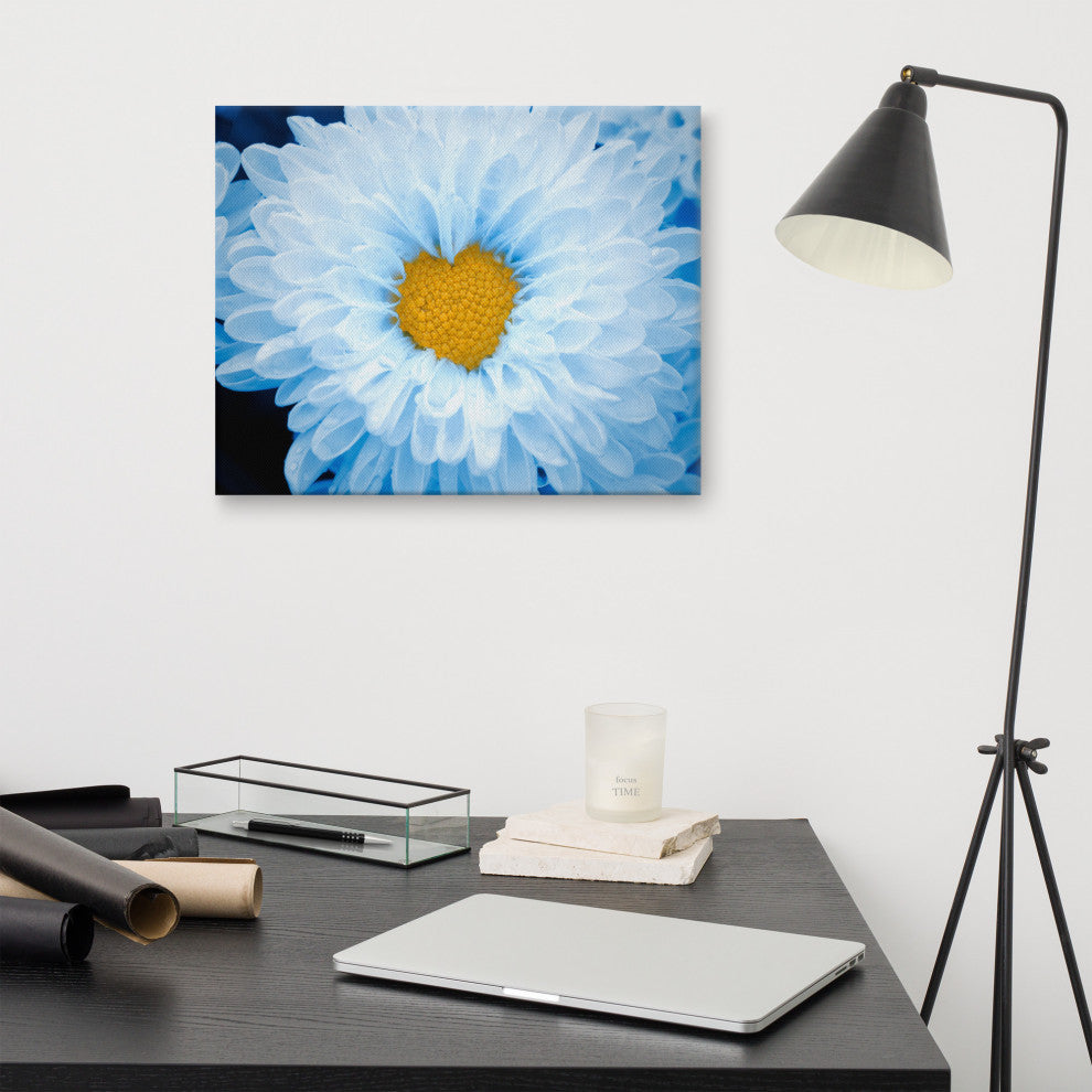 Blue Tinted Chrysanthemums Nature Photo Botanical Floral Canvas Wall Art Print, 16" X 20"