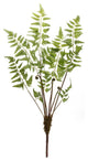 Fern Bundle, 6-Piece Set