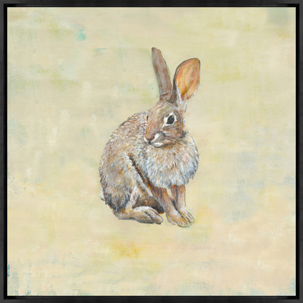 24x24 Cottontail, Framed Artwork, Black