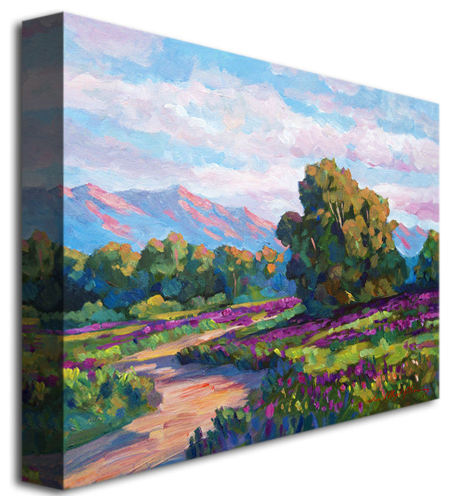 'California Hills' Canvas Art by David Lloyd Glover