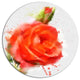 Red Hand-Drawn Rose Sketch, Floral Large Disc Metal Wall Art, 11"