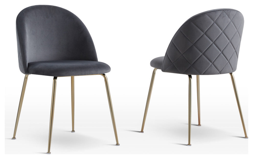 Tanisha Contemporary Dining Chair With Gold Legs, Set of 2, Grey