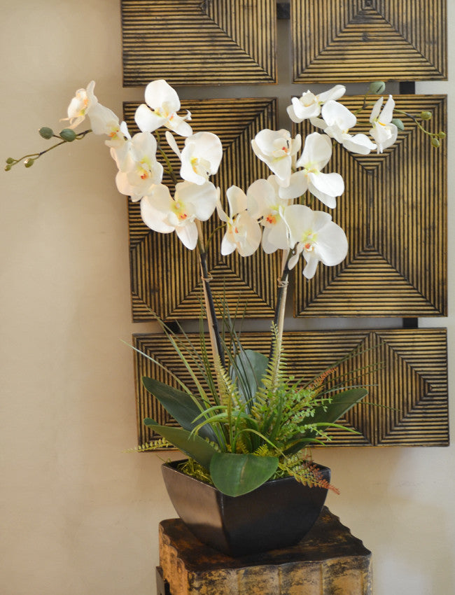 Orchids with Fern and Foliage, White
