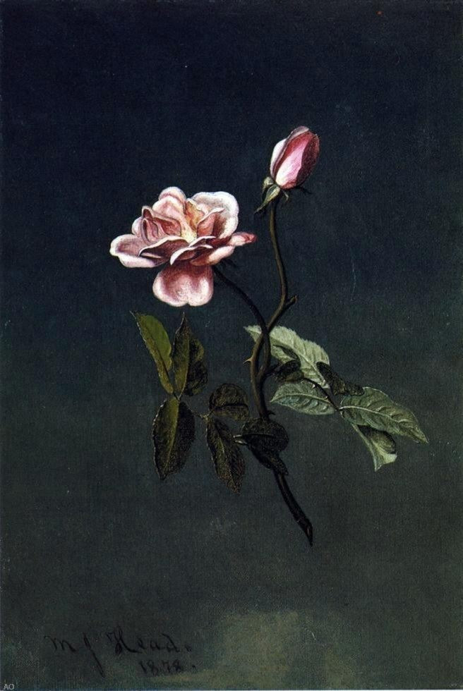 Martin Johnson Heade Pink Rose, 18"x27" Wall Decal Print