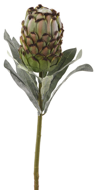Green Protea Flower Stem, Set of 3