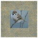 "The Sparrow" Digital Paper Print by Kathrine Lovell, 32"x32"