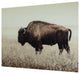 Brutus Sepia Wall Art