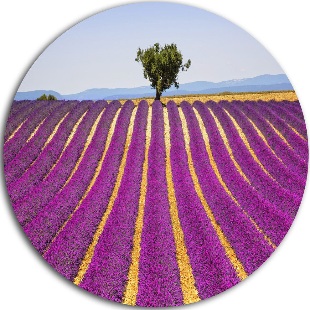 Lavender And Lonely Tree Uphill, Landscape Disc Metal Wall Art, 23"