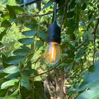 Solar Powered LED String Light, Dusk to Dawn Feature, Outdoor Rated