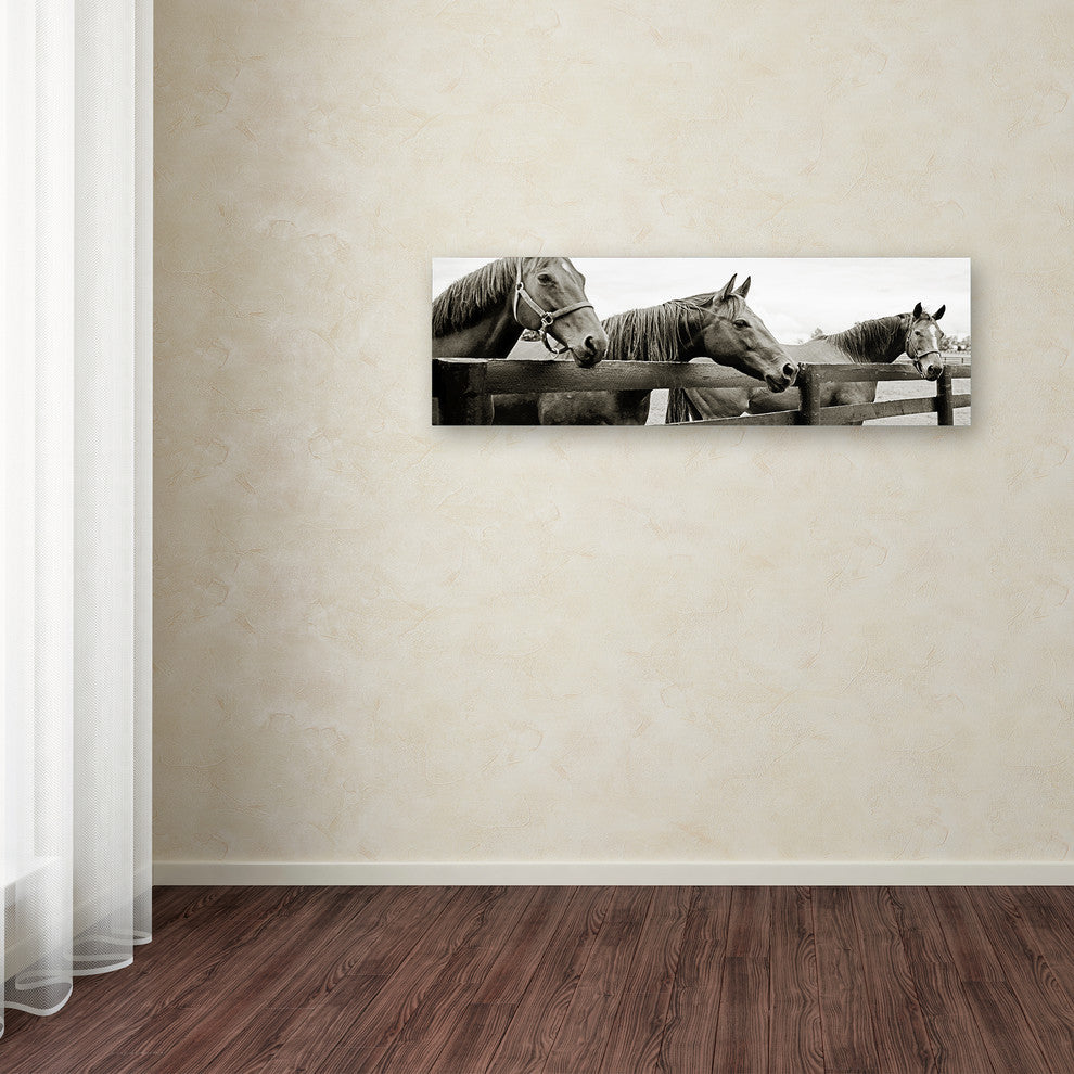 'Briland Three' Canvas Art by Preston
