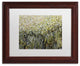 Nicole Dietz 'Barnacles' Matted Framed Art, Wood Frame, White, 14x11