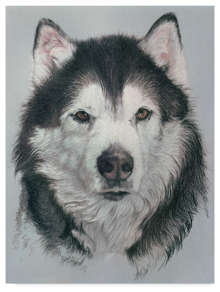 Rusty Frentner ''Husky Dog'' Canvas Art, 32"x24"