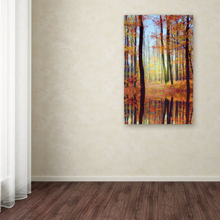 'Fall Mirror' Canvas Art by Philippe Sainte-Laudy