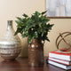 Vickerman 20" English Ivy Bush X 6 With 66 Leaves., Green